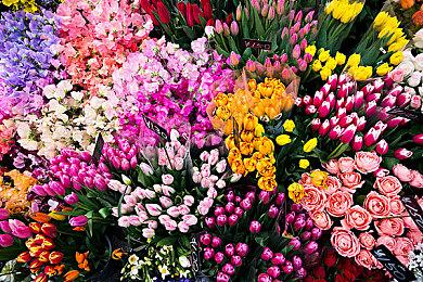 拉瑞安：《神界：原罪2》原本有一部衍生作品“冰雾岛之灵”